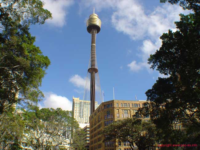 DSC03403