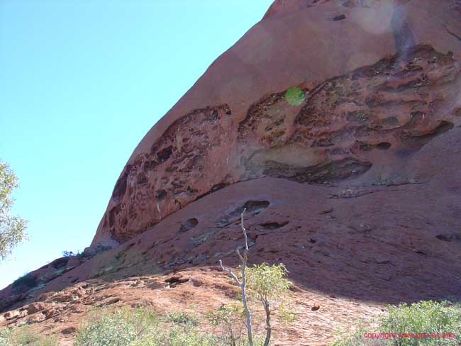 DSC04816