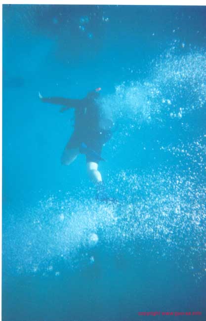 Great Barrier Reef 09