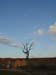 Flinders Ranges 25.09 Bild 36