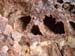 Ridgetop Tour Bild 72