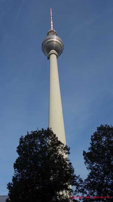 DSC08883