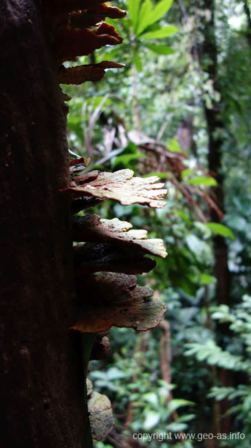 DSC00133