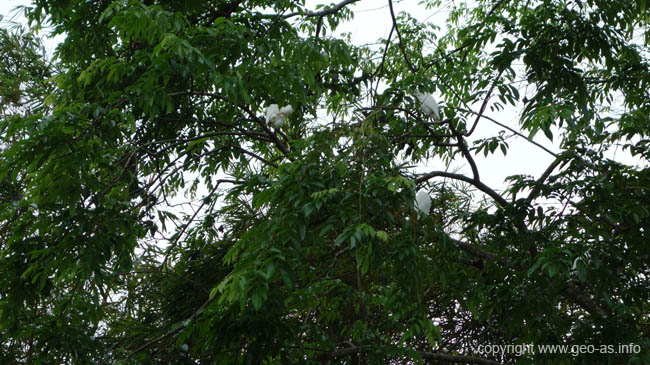 DSC00320
