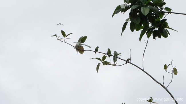 DSC00390