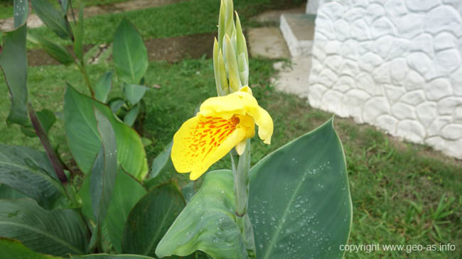 DSC00417