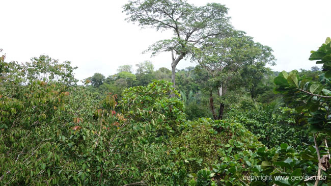 DSC00569