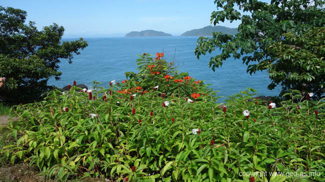 DSC00708