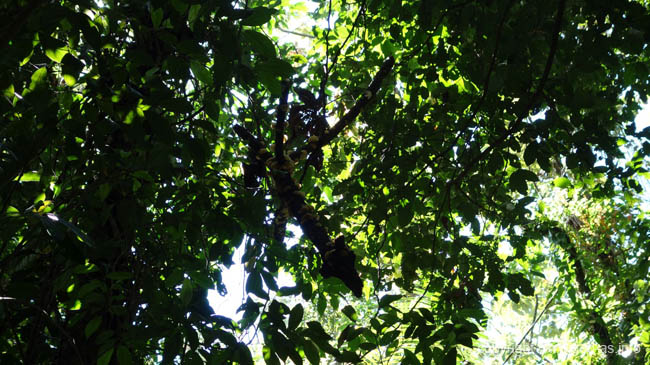 DSC00881