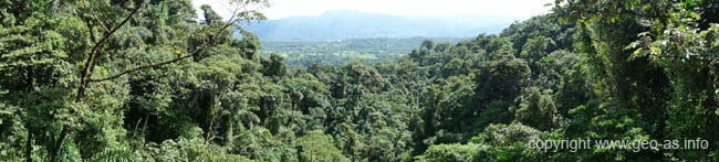 DSC00963