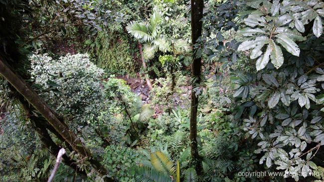 DSC00970