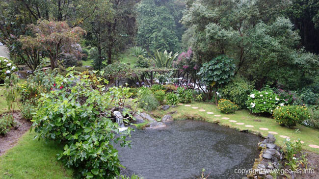 DSC09896