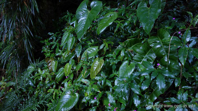 DSC09919