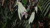 DSC00209a