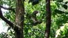 DSC00598a
