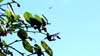 DSC01004a