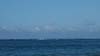 DSC01191