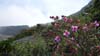 DSC09637