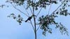 DSC09754a