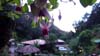 DSC09906