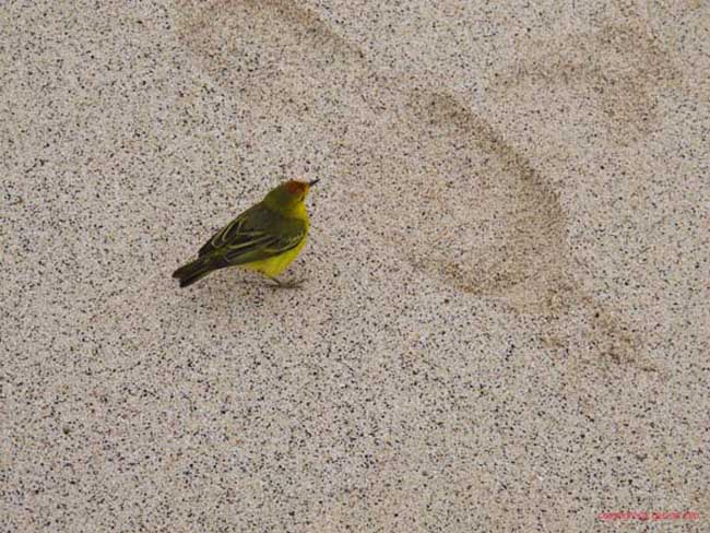 Bild 1463