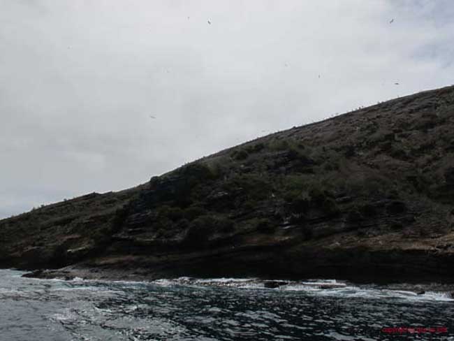 Bild 1708