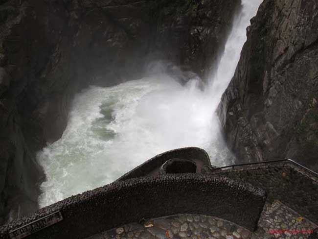 Bild 589