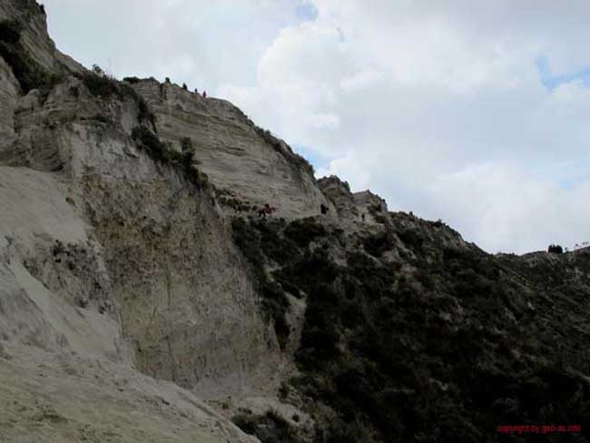 Bild 799
