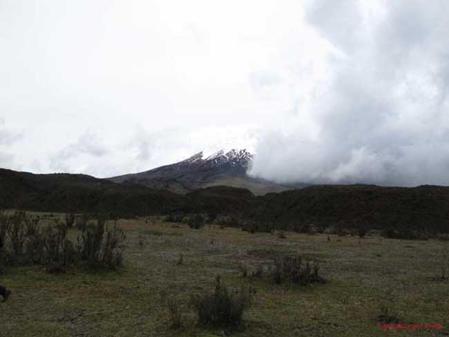 Bild 826