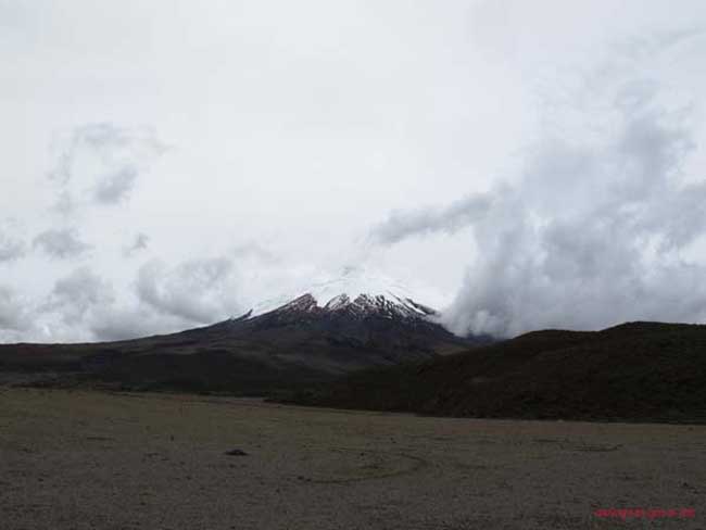 Bild 833