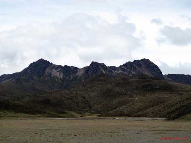 Bild 834