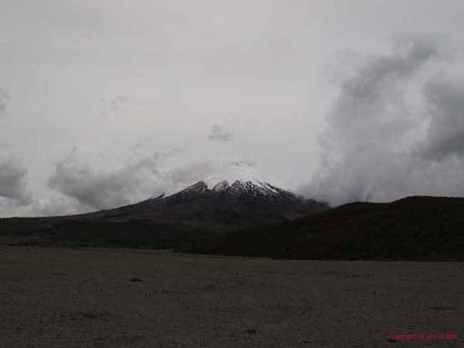 Bild 838