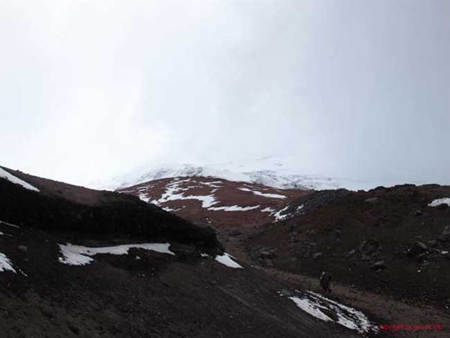 Bild 872