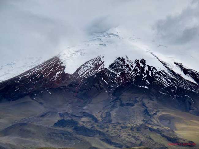 Bild 883