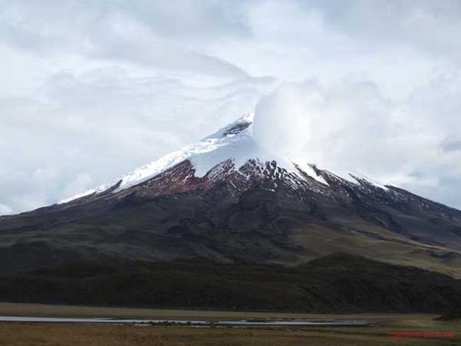 Bild 902