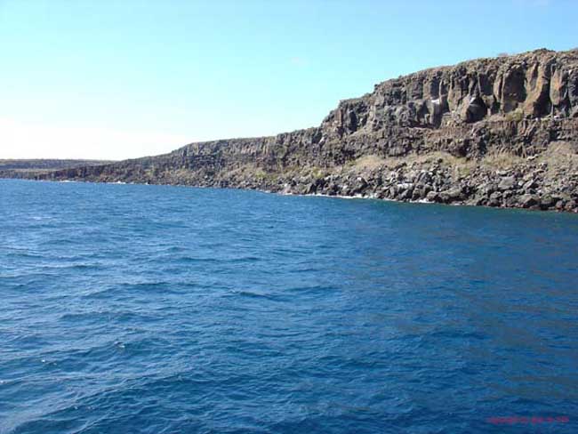 DSC00091
