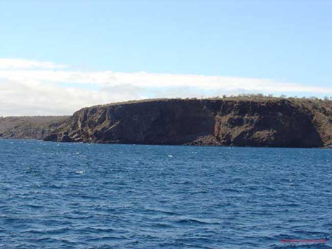 DSC00094