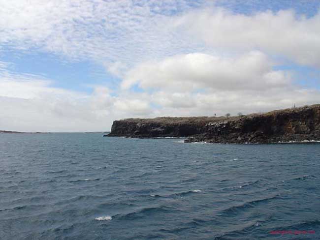 DSC00098