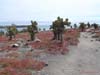 DSC00114