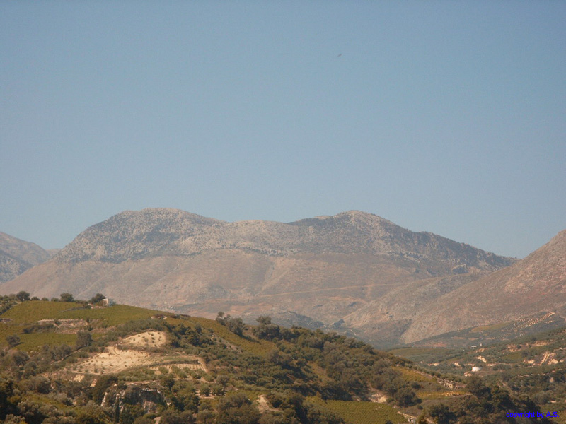 SIMG0196