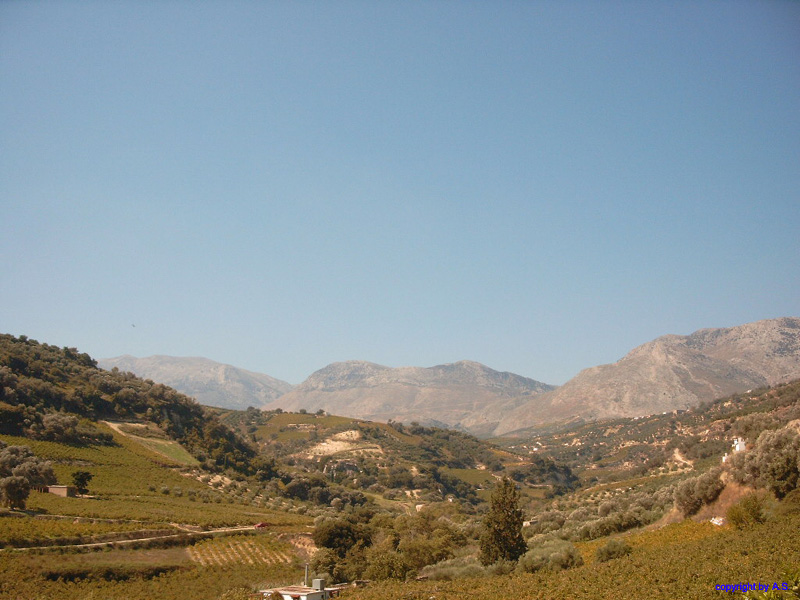 SIMG0197