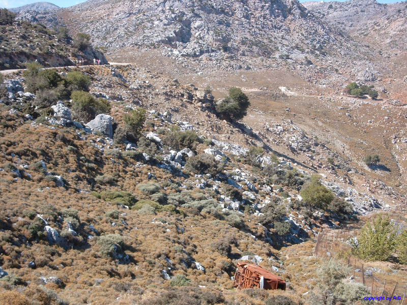 SIMG0210