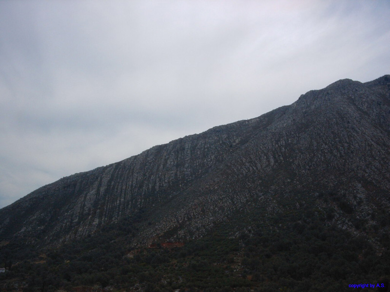 SIMG0226