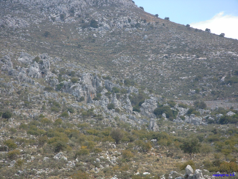 SIMG0236