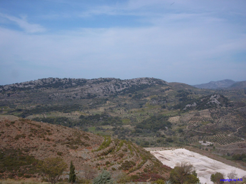 SIMG0241