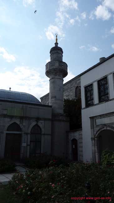 DSC08348