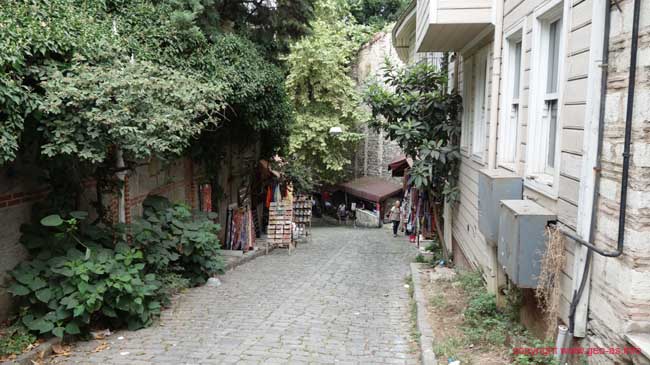 DSC08368