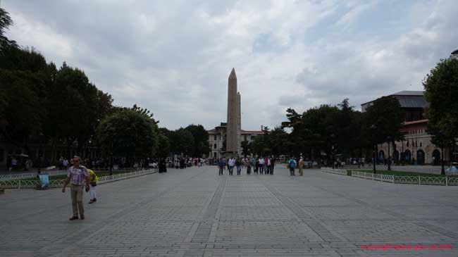DSC08398
