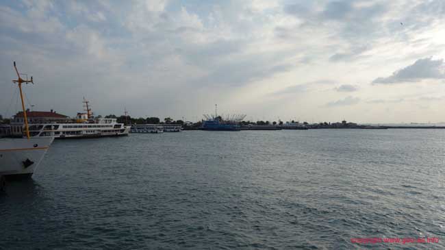 DSC08446
