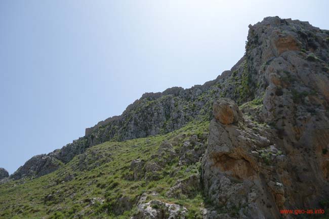 DSC03856